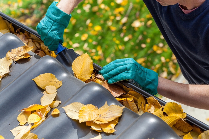 man clenaing leaves from gutters