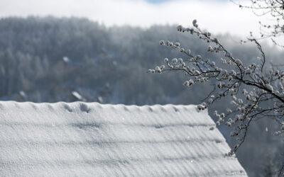 Dealing With and Preventing Ice Dams