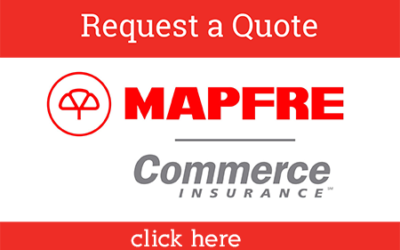 Understanding Your Auto Insurance Coverage