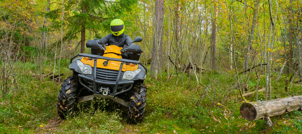 a guy driving in a forest spring recreational insurance