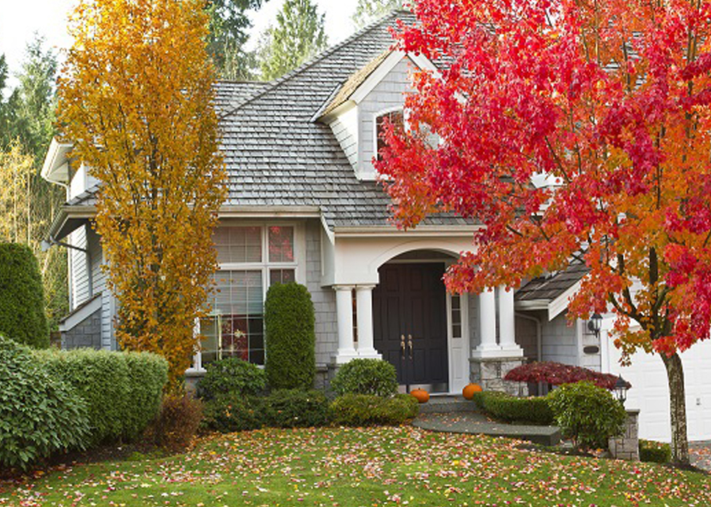 a house with a green lawn and blooming azaleas in spring season.