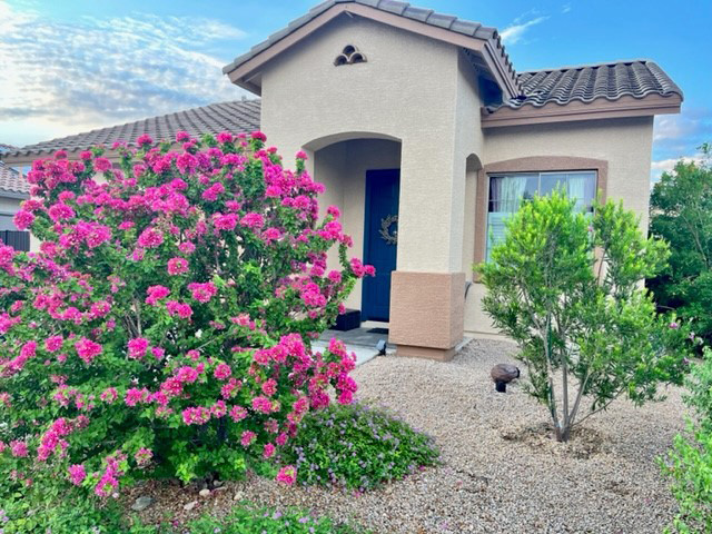Home Arizona