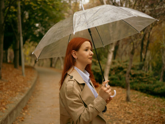 Why You Should Consider Umbrella Insurance This Fall